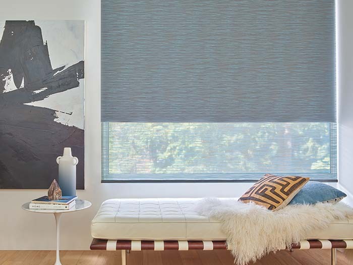 Designer Roller Shades